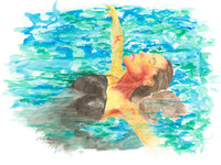 Lady in the Pool